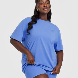 Classic Oversized Lightweight T-Shirt Glaucous Blue